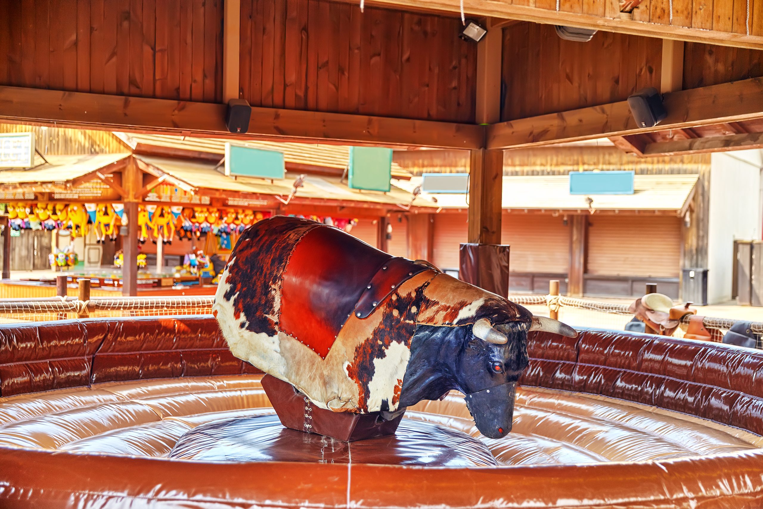Ride the bull in park amusement.